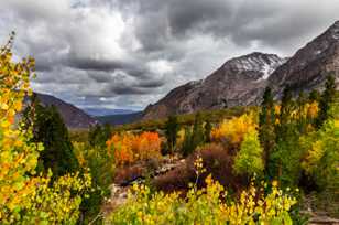 Tioga Pass aspens-8878.jpg Tioga Pass aspens-8878.jpg